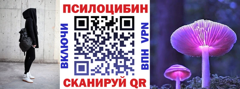 Псилоцибиновые грибы мицелий  Николаевск 
